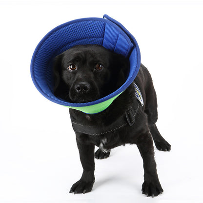 Dog & Cat Anti-Bite Medical Recovery Collar