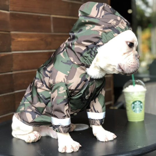 Trendy Pet Raincoat - Stylish Protection for Your Furry Friend