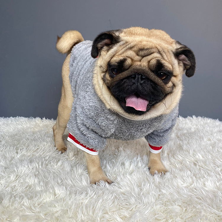 Cozy Knit Pet Sweater