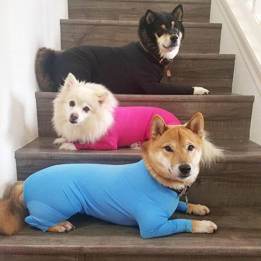 Pet Dog Jumpsuit