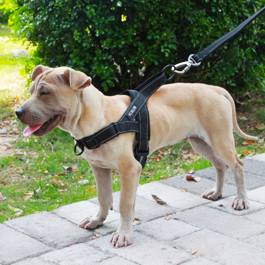 Adjustable Dog Harness and Leash Rope Set