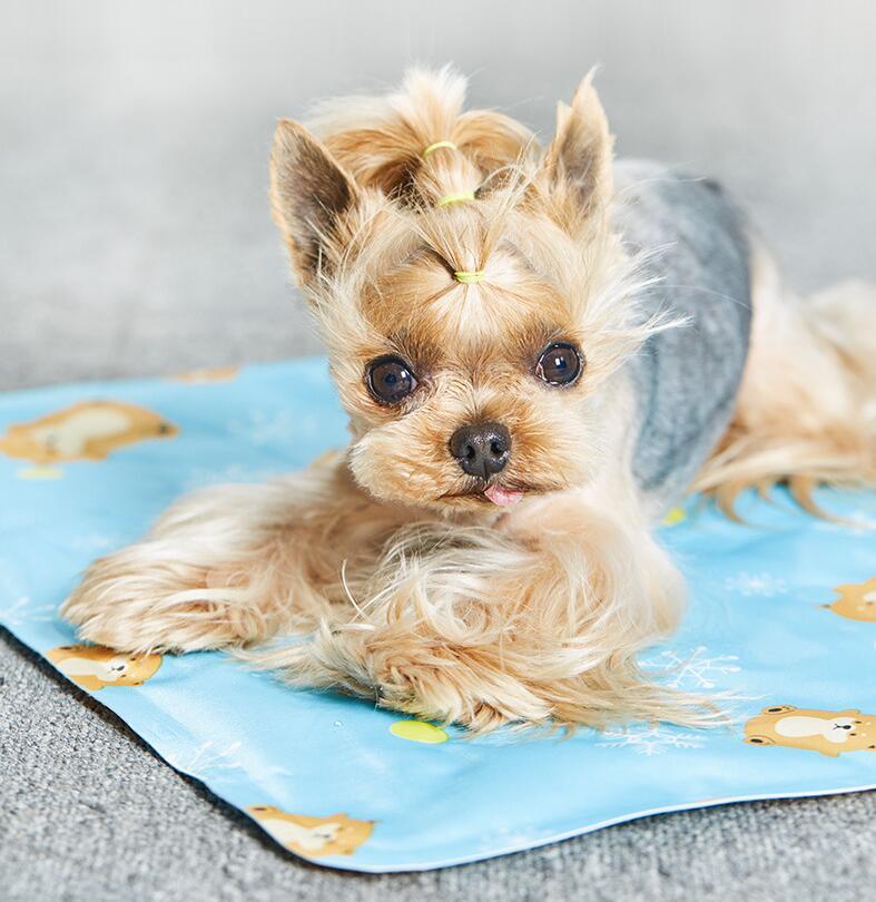 Pet Cooling Ice Mat