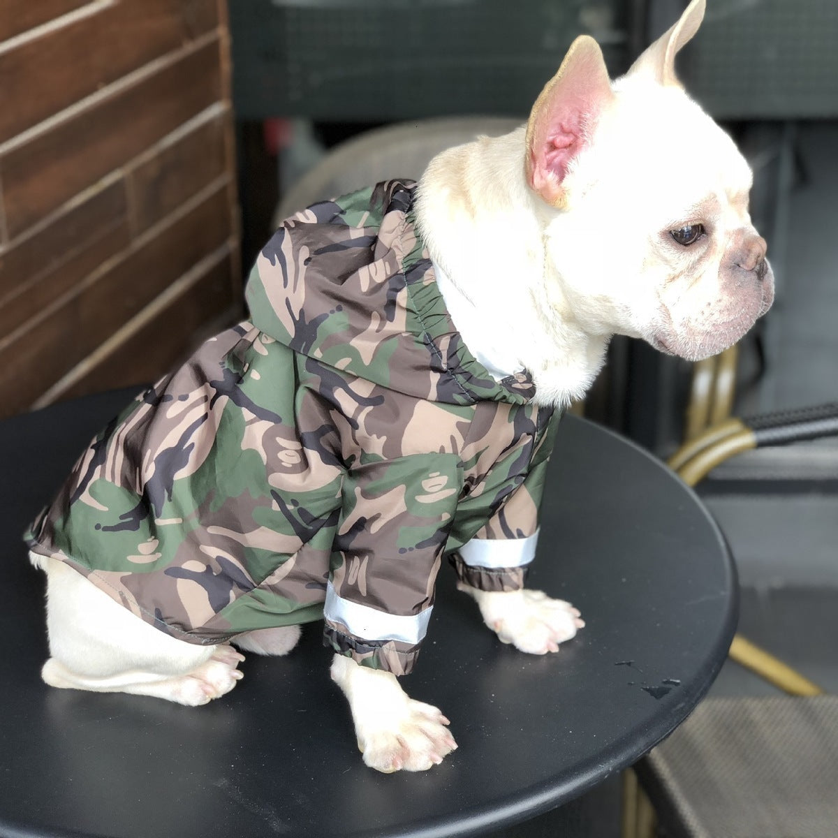 Trendy Pet Raincoat - Stylish Protection for Your Furry Friend