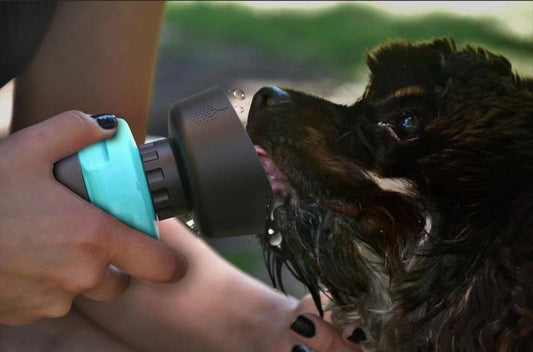 Foldable Dog Travel Water Bottle