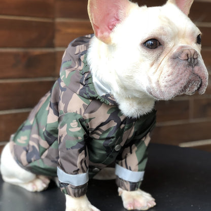 Trendy Pet Raincoat - Stylish Protection for Your Furry Friend