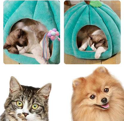 Warm Tent Pumpkin Cat Bed