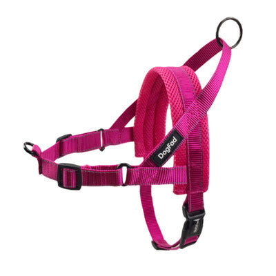 Adjustable Dog Harness and Leash Rope Set