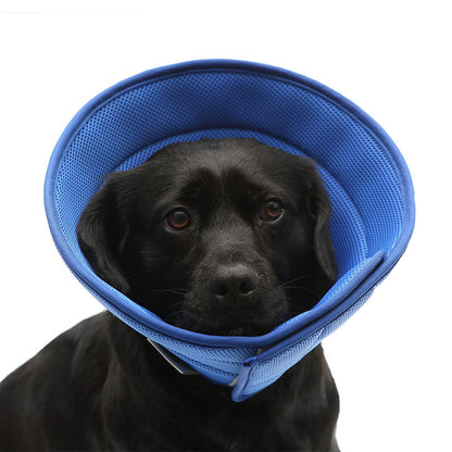 Dog & Cat Anti-Bite Medical Recovery Collar