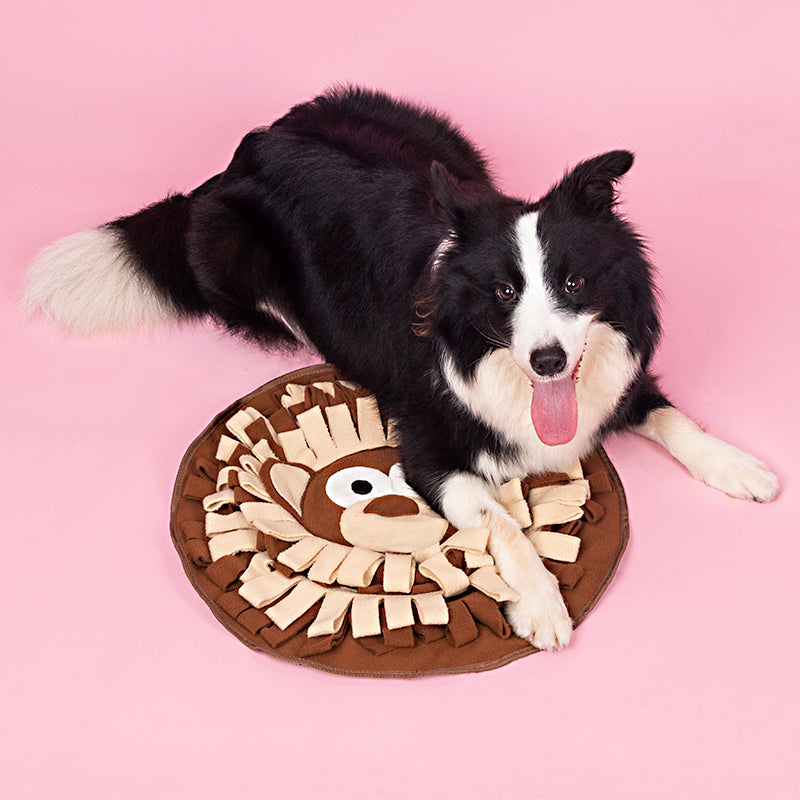 Interactive Snuffle Mat for Dogs and Cats