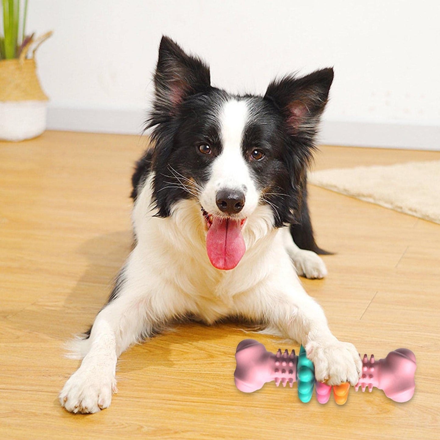 Toothbrush Dog Chew Toy