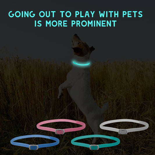 Luminous Insect Repellent Dog Collar - Protection & Safety for Your Pet