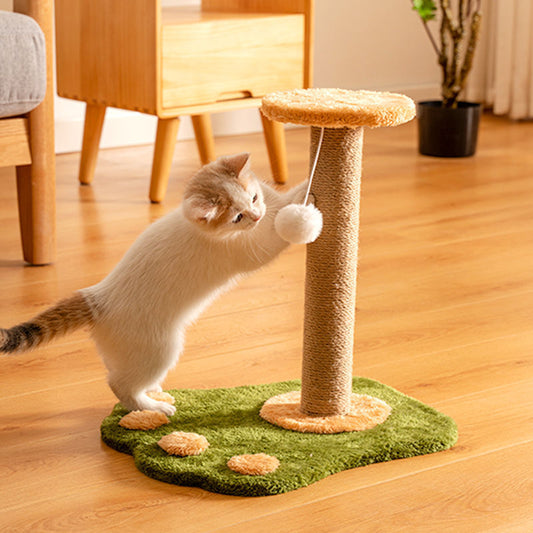 Anti-Scratch Cat Toy