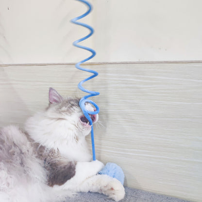 Interactive Ball Spring Cat Toy