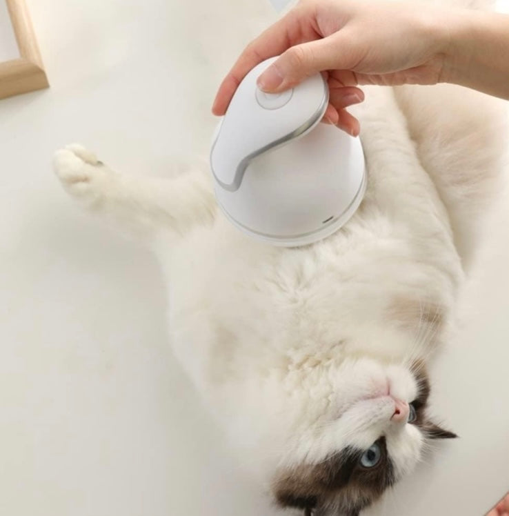 Electric Pet Head Massager