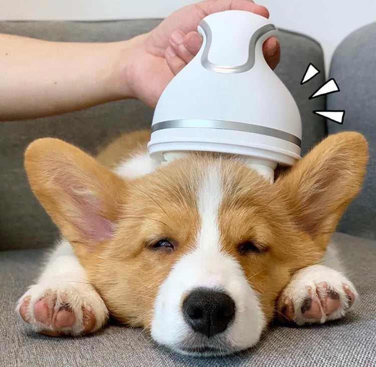 Electric Pet Head Massager