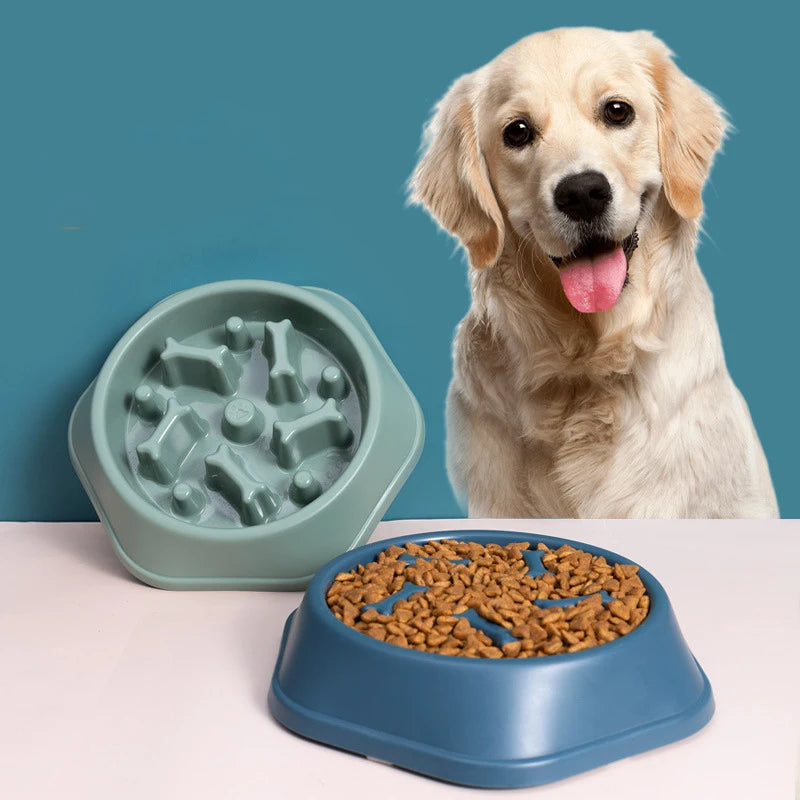 Non-Slip Slow Feeder Pet Bowl