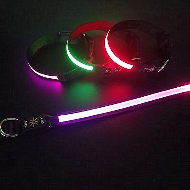 Glowing LED Dog Collar - USB Rechargeable and Adjustable