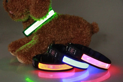 Glowing LED Dog Collar - USB Rechargeable and Adjustable