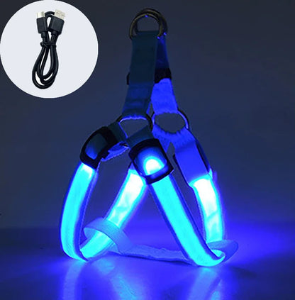 LED Dog Harness