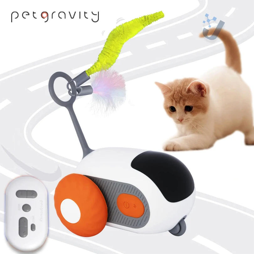 Automatic Moving Remote Mouse Indoor Toys