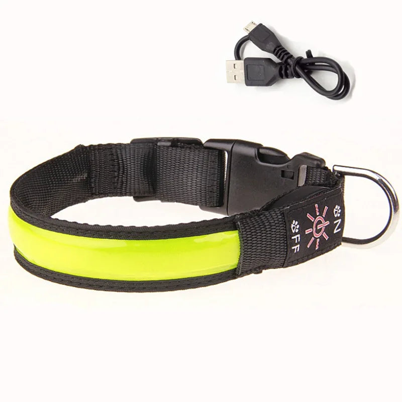 Glowing LED Dog Collar - USB Rechargeable and Adjustable