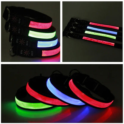 Glowing LED Dog Collar - USB Rechargeable and Adjustable