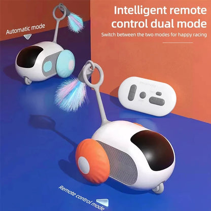 Automatic Moving Remote Mouse Indoor Toys