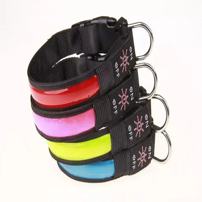 Glowing LED Dog Collar - USB Rechargeable and Adjustable