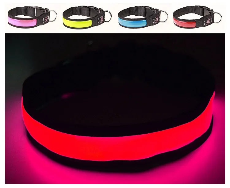 Glowing LED Dog Collar - USB Rechargeable and Adjustable