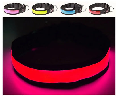 Glowing LED Dog Collar - USB Rechargeable and Adjustable