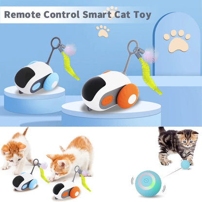 Automatic Moving Remote Mouse Indoor Toys