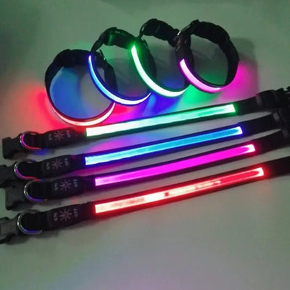 Glowing LED Dog Collar - USB Rechargeable and Adjustable