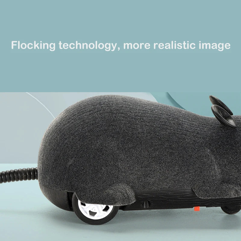 Remote Control Mouse Toy