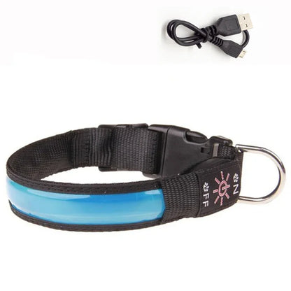 Glowing LED Dog Collar - USB Rechargeable and Adjustable