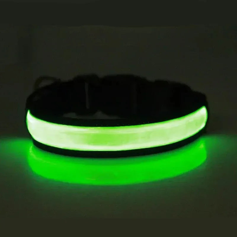 Glowing LED Dog Collar - USB Rechargeable and Adjustable