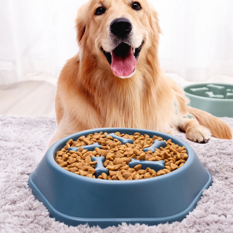 Non-Slip Slow Feeder Pet Bowl