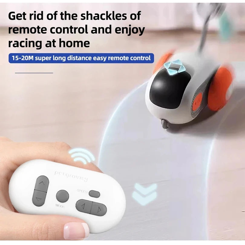 Automatic Moving Remote Mouse Indoor Toys