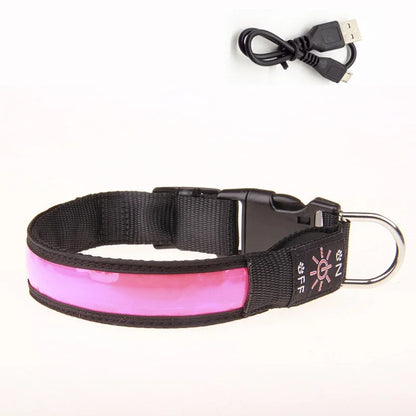 Glowing LED Dog Collar - USB Rechargeable and Adjustable