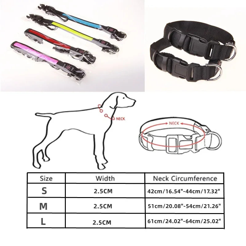 Glowing LED Dog Collar - USB Rechargeable and Adjustable