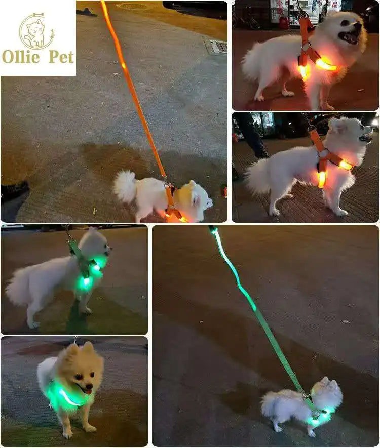 LED Dog Harness