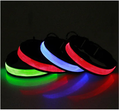 Glowing LED Dog Collar - USB Rechargeable and Adjustable