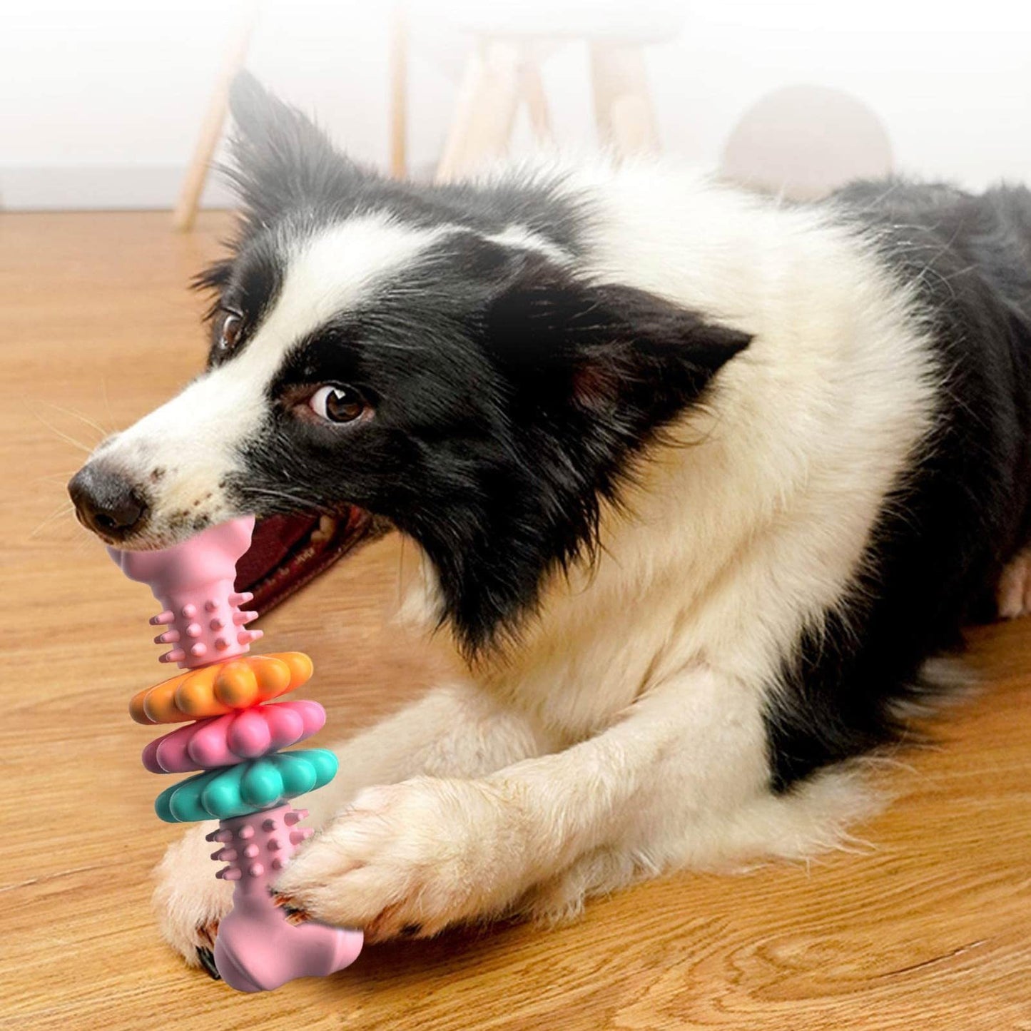 Toothbrush Dog Chew Toy