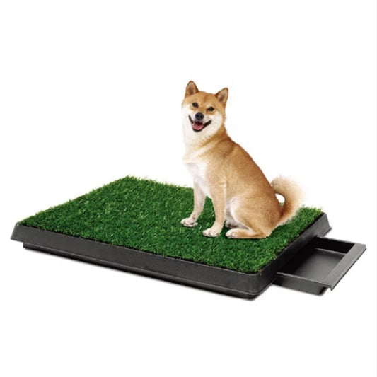 Pet Lawn Toilet