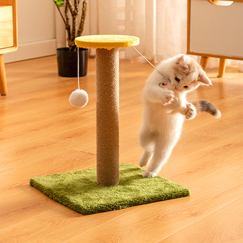 Anti-Scratch Cat Toy