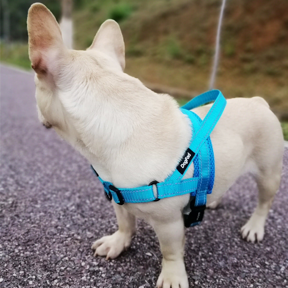 Adjustable Dog Harness and Leash Rope Set